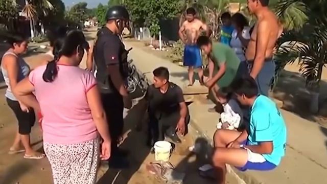 Animals That Asked People for Help  Kindness Ep 4