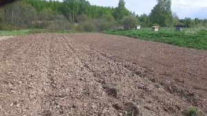 культивируем огород тяжелым дизельным мотоблоком МБ 12 ДЭЛ и мотоблоком carver МТ-900