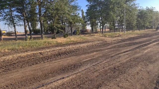 Уборка оз.пшеницы. Сравнение сортов и результаты уборки. No- till 22.07.2022 смотреть онлайн