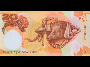 #обзор Юбилейной банкноты Папуа-Новой Гвинеи 20 Кина 2008 года. 35 ЛЕТ БАНКУ!!!