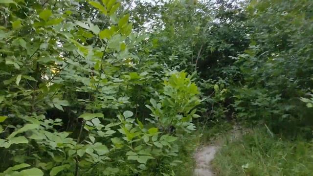Пляж на Урале район куреней. Дамба. Уральск лето 2021