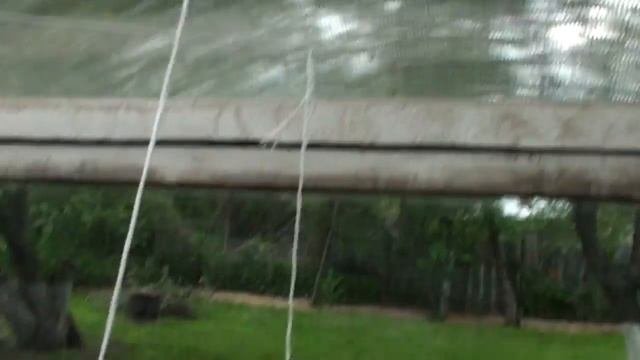 ПОЛЕЗНЫЕ СОВЕТЫ\\ДАЧА.САД,ОГОРОД.\\УХОД\\ПОМИДОРЫ В ТЕПЛИЦЕ.//МАЙ 2018