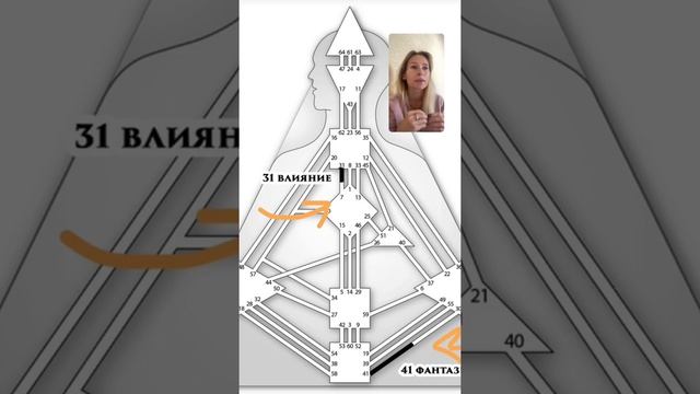 ДИЗАЙН ЧЕЛОВЕКА. БОДИГРАФ. 41 ВОРОТА СЖАТИЯ. КАНАЛ 41-30