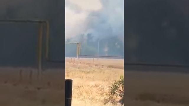 Пожар в Приречном
