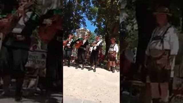 Прекрасный праздник в замечательной Вене! смотреть онлайн