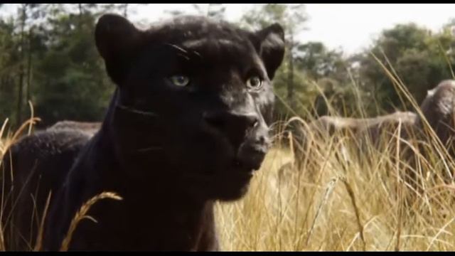 Книга джунглей - Болтливывое зверье и дикий пацан смотреть онлайн