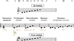 Сольфеджио 1 класс Калинина ОТВЕТЫ Страница 23 Устойчивые Неустойчивые Вводные СТУПЕНИ + Опевание