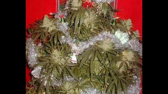 смешная песня С новым Годом!