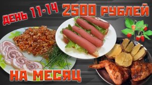 Выживаю месяц на 2500 рублей. День 11-14.