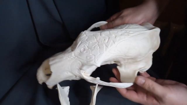 Череп Медведя Резал Я Без Тонировки смотреть онлайн