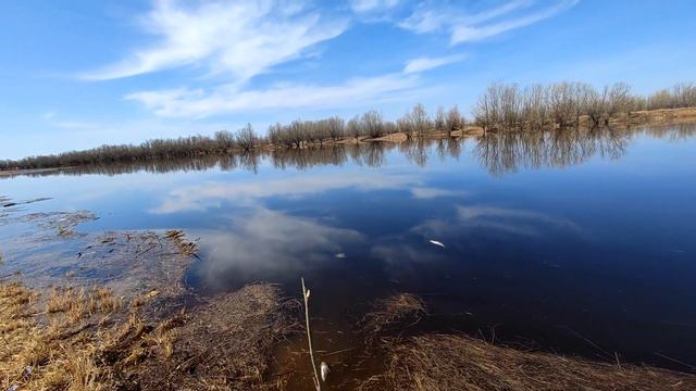 Сезон 2023 открыт! смотреть онлайн