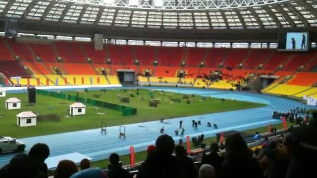 19 октября, Лужники: Спортивный праздник московской полиции