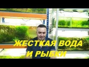 О жесткой воде и аквариумных рыбках. (Архив от 23.12.2023)