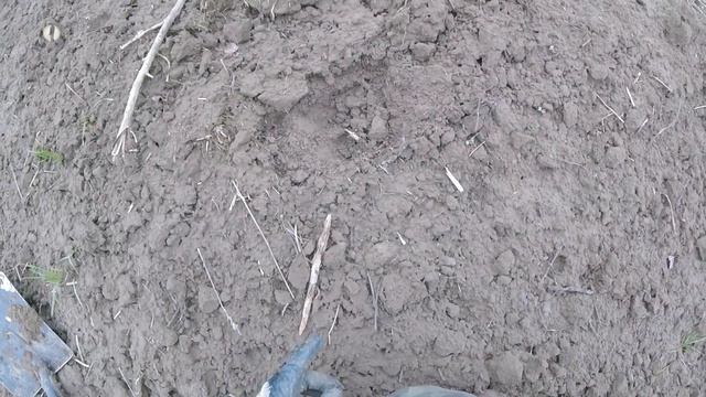 ЭТА ЗЕМЛЯ ПРЕДКОВ / новые распашки / потеряшки лежат сверху смотреть онлайн