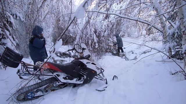 "Хмурый-лонг"...в Ивановских лесах смотреть онлайн