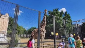 03. Московский зоопарк