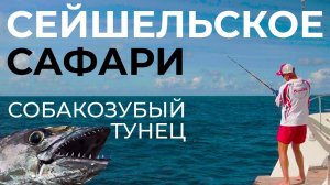 ПОПАЛИ В НАСТОЯЩЕЕ РЫБНОЕ САФАРИ | GOLD MARLIN