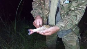 Осенняя рыбалка село Кружиловка.