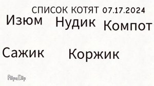 ЭТА СЕРИЯ ВЫРЕЗАНА удалёные серии три кота