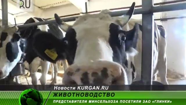 Делегация Минсельхоза посетила ЗАО «Глинки»