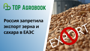 Россия запретила экспорт зерна и сахара в ЕАЭС. TOP Agrobook: обзор аграрных новостей
