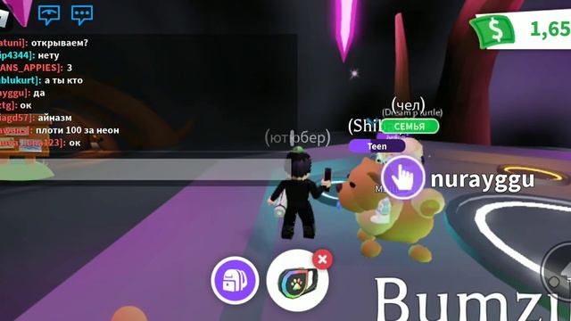 делаем мега неон пета и открываем RGB боксы смотреть онлайн