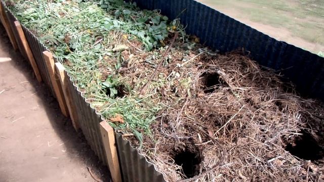 Как сделать ТЁПЛУЮ ГРЯДКУ в теплице своими руками | RAISED-BED GARDENING