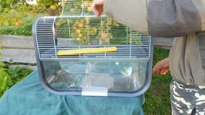 #КЛЕТКА SAVIC GENEVA СБОРКА#ПЕСЧАНКИ ИДЕАЛЬНАЯ КЛЕТКА МЫШКАМ#ПИТОМНИКМАРИМИСТИК#ОБЗОР КЛЕТКИ SAVIC