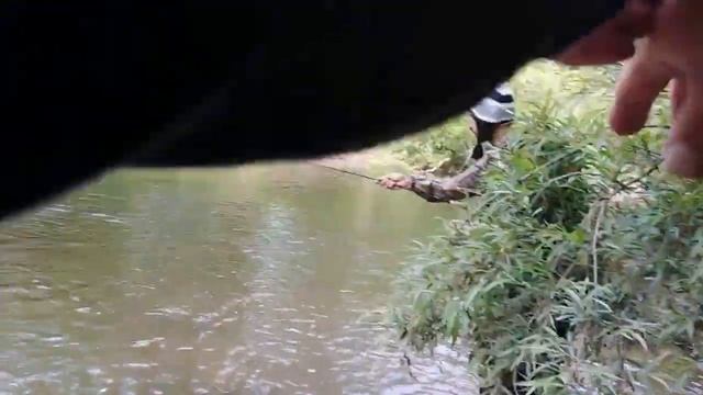 Сима по новым местам. смотреть онлайн