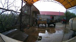 Майский дождь