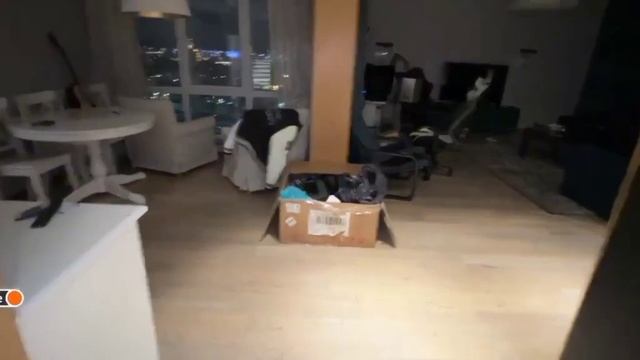 Жуки в доме (Follentass) смотреть онлайн