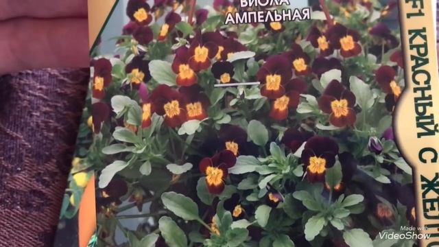 Купила семена на 2021 год! Цветы,Цветы...опять Цветы. смотреть онлайн