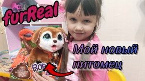 Щенок Furreal friends Hasbro Распаковка игрушки