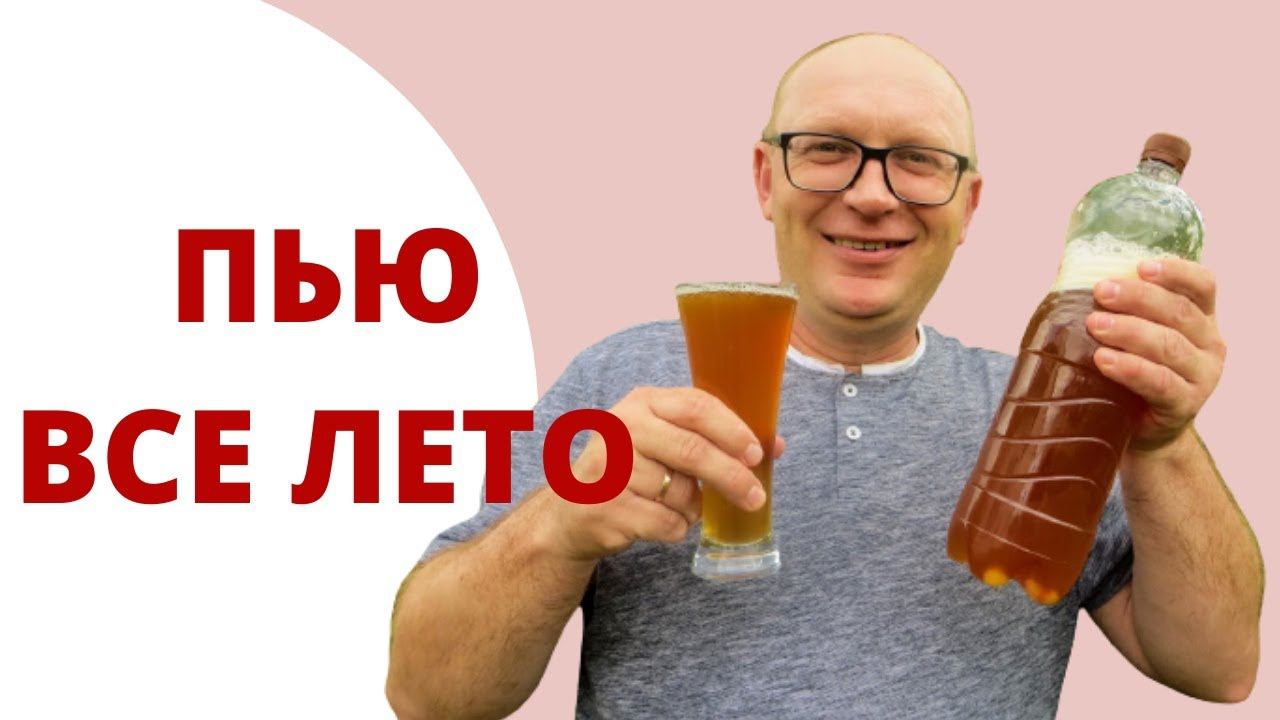 Проверенный годами! Вкуснейший рецепт домашнего хлебного кваса ЗА СУТКИ