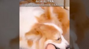 Фен щетка для животных