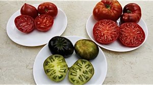 Вкусные томаты Сердце красного дракона, Оранжево-красный блюз и Зелёная богиня Занаду.