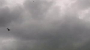 Голубиное хозяйство Андрея Пластуна