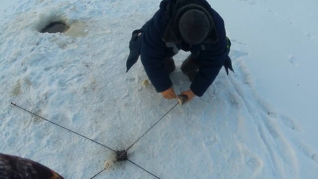 РЫБАЛКА НА ХАПУГУ ХЛОПОК! ЛОВ КАРАСЯ! Зимняя рыбалка на Амуре смотреть онлайн