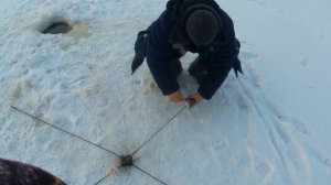 РЫБАЛКА НА ХАПУГУ ХЛОПОК! ЛОВ КАРАСЯ! Зимняя рыбалка на Амуре