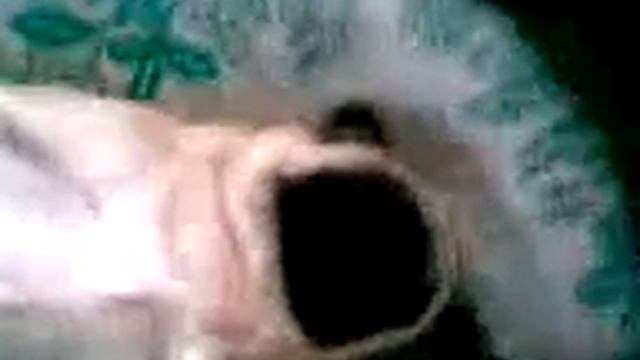 храпящий мопс (Кай) смотреть онлайн