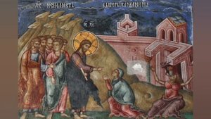 ПРОПОВЕДЬ. Неделя 36-я по Пятидесятнице, о хананеянке, прот. Владимир Колосов.