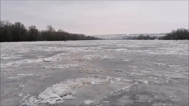 РЫБАЛКА на Дону, на крестовушки, г Лиски, 28.01.2023 года смотреть онлайн