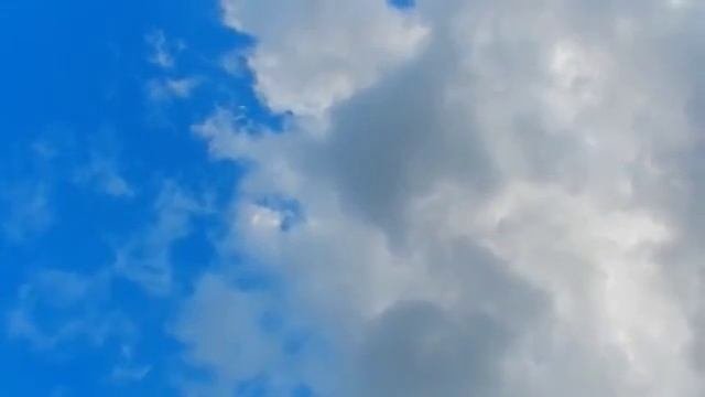 Весенняя песенка