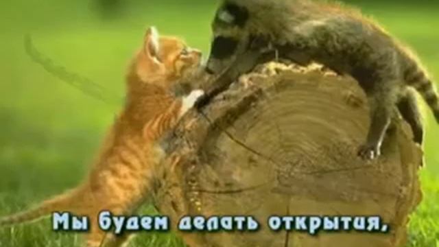 Слайд-шоу на Новый 2006 год смотреть онлайн