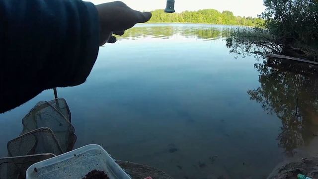 Фидер на райском островке. Пляж, сосны, черничник, брусничник и ландыши. смотреть онлайн