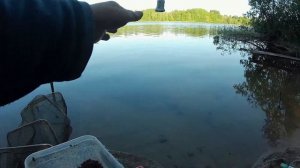 Фидер на райском островке. Пляж, сосны, черничник, брусничник и ландыши.