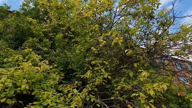 Ейск. Счастливый день, день красоты и "Мы"? смотреть онлайн