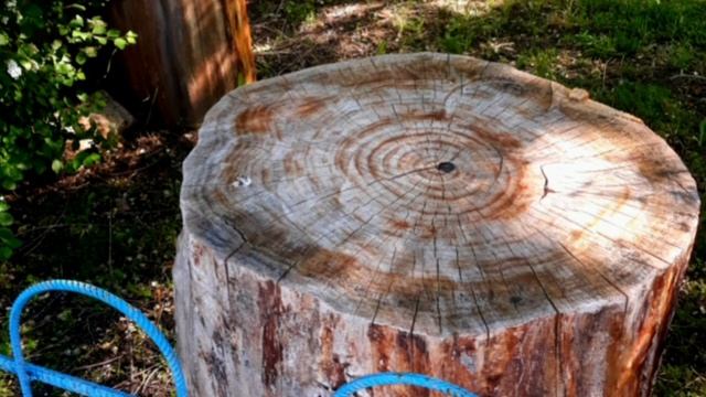 ❗Звук газонокосилки для релакса. Запах скошенной травы.Для снятия тревоги и стресса. смотреть онлайн