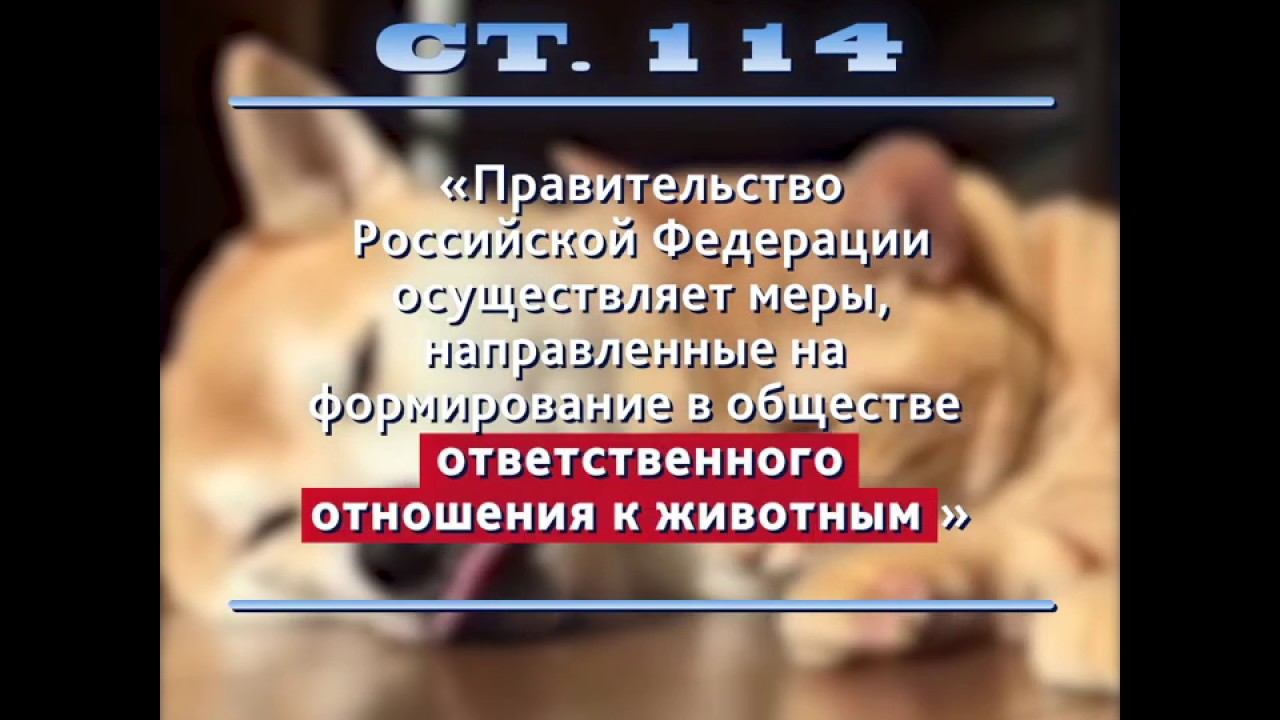 Зоозащита