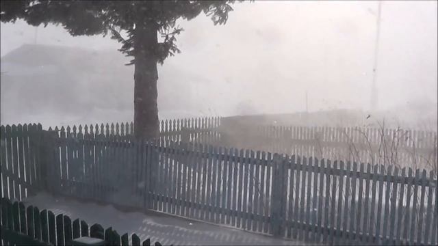 ЗИМА, ЗИМА - КРАСАВИЦА смотреть онлайн